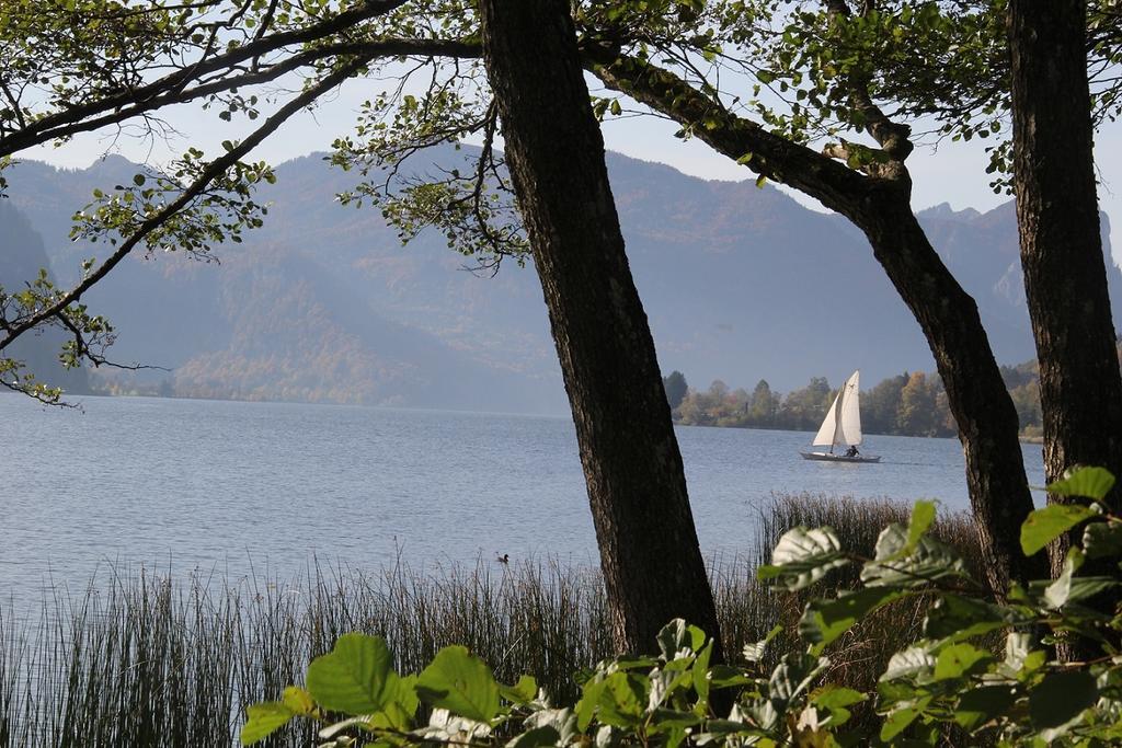 Gaestehaus Riki Oberschmid Steinbach am Attersee